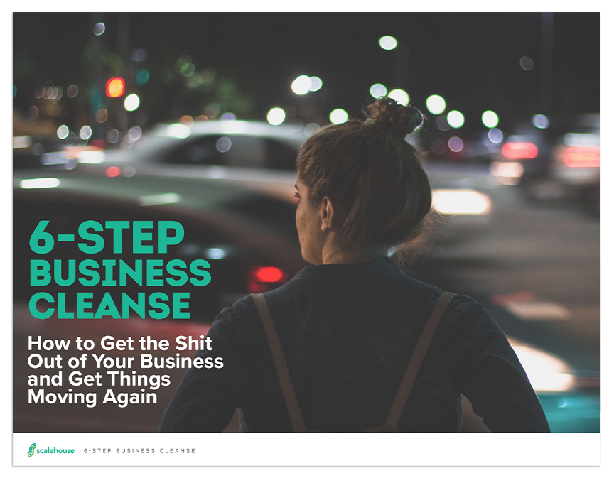 6 Step Business Cleanse Cover Mockup